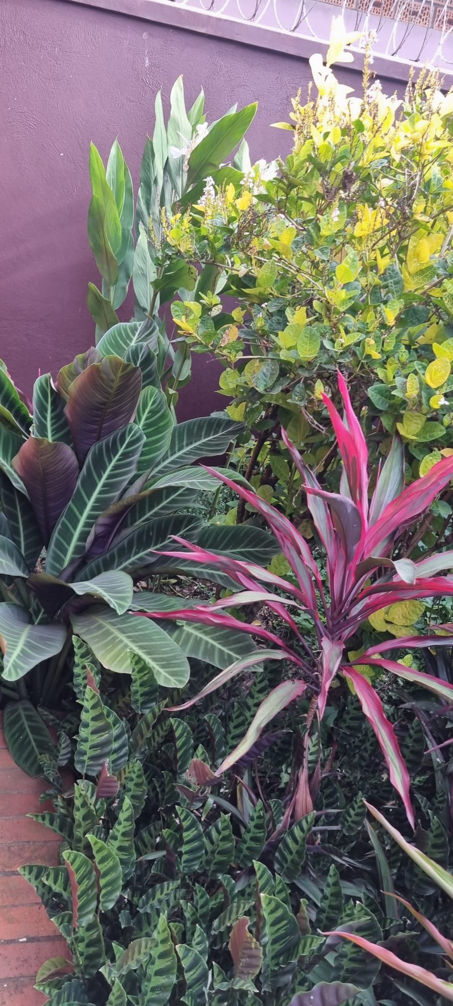 Guest House Grounds